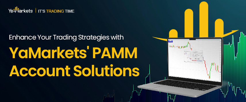 What caused the downfall of Silicon Valley Bank?