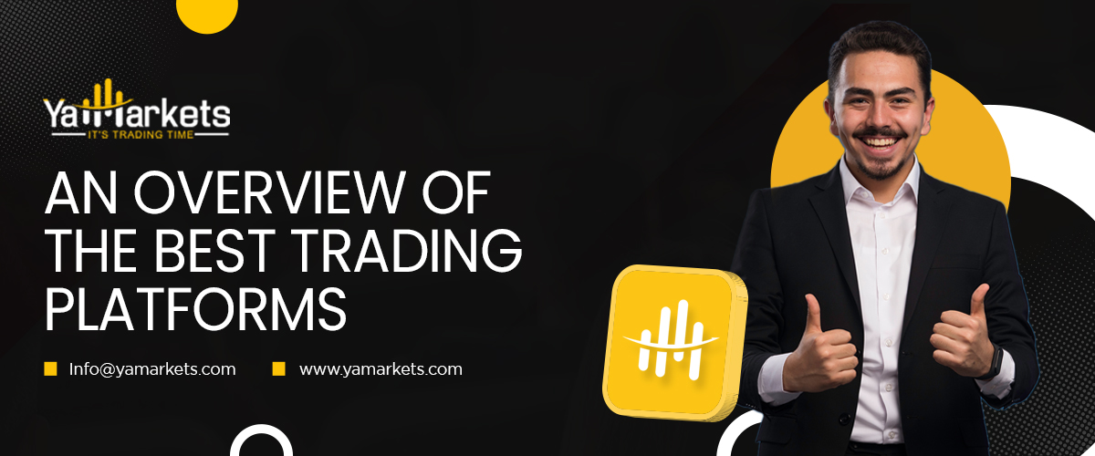 An overview of the best trading platforms