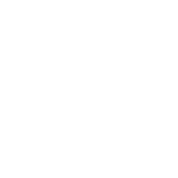 Real Market Experience