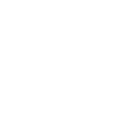 Real Market Experience